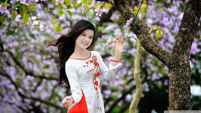 vietnamese, Asian, women, áo dài