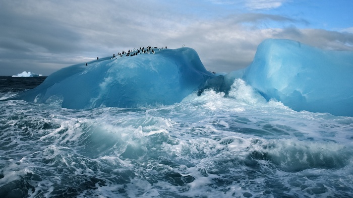 Penguins on a blue iceberg in the sea