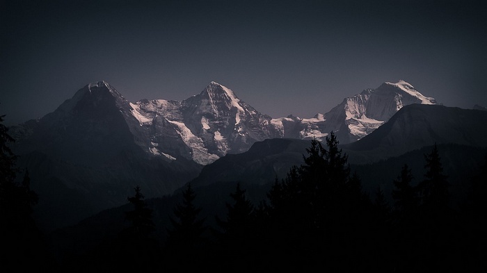 Snowy mountain peaks at dusk with silhouetted trees