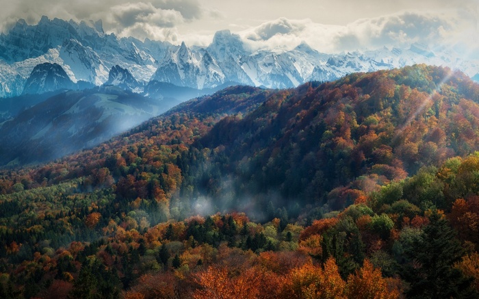 Autumn forest with sun rays and snowy Alps mountains