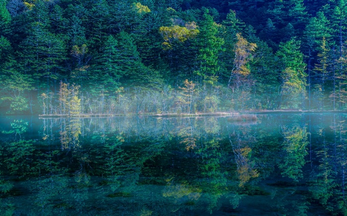 Misty morning reflection of trees in a Japanese lake