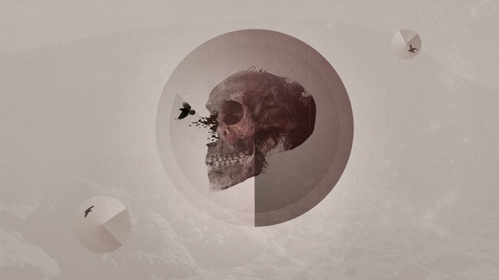 Skull with birds and geometric circles
