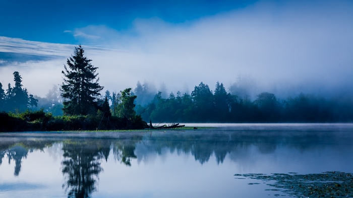 Misty morning lake reflection in Washington state