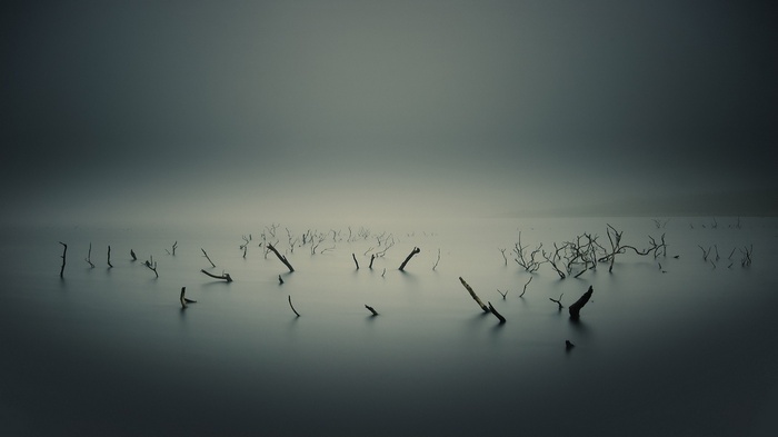 Minimalist landscape with dead trees in water