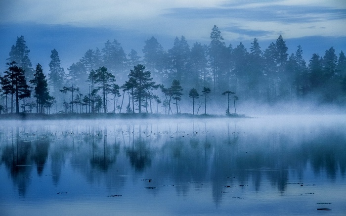 Misty lake and forest landscape in Finland