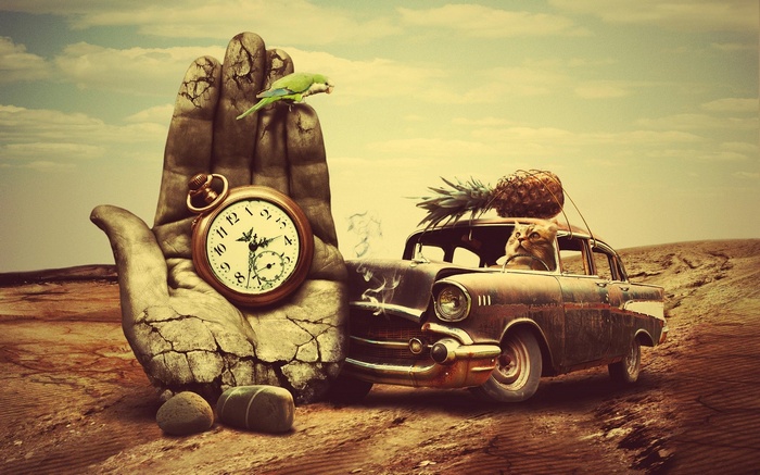 Surreal desert scene with a cat driving an old car