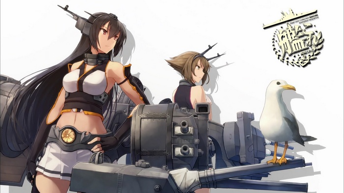 Kantai Collection: Nagato and Mutsu with a Seagull