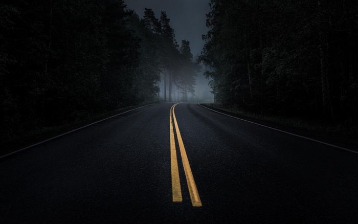 Dark forest road with mist and yellow lines