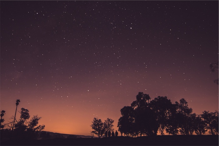 Silhouettes of trees and people under a starry night sky