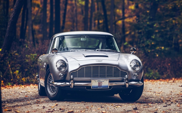 Silver Aston Martin DB5 with 007 license plate in fall forest