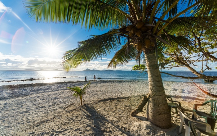 Tropical island beach with palm trees and sun rays