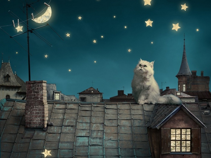 Fantasy night scene with a Persian cat on rooftops under a crescent moon and stars