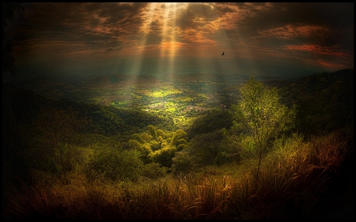 Sun rays over a valley with a bird flying