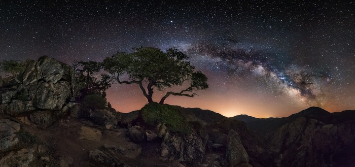 Milky Way over a lone tree on rocky terrain