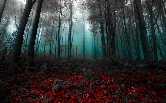 Mystical forest with red leaves and blue mist