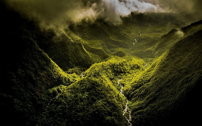 Aerial view of a green valley in Hawaii