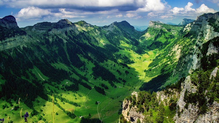 Green mountain valley with a winding path