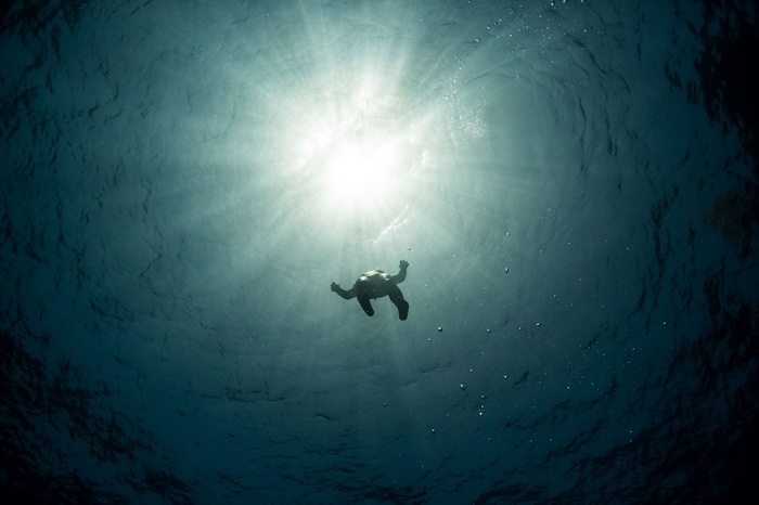 Person falling underwater towards sunlight
