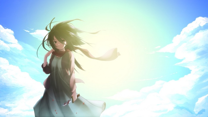Mikasa Ackerman in Attack on Titan