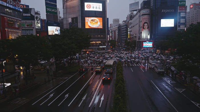 Shibuya Crossing, Tokyo, Japan, on a Rainy Evening