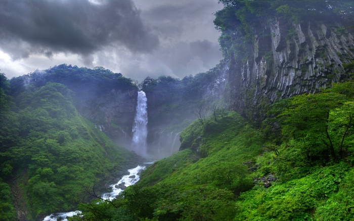 Waterfall in a misty forest in Japan