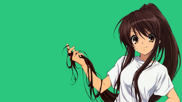 The Melancholy of Haruhi Suzumiya anime girl with brown hair