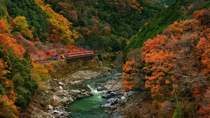 Train traveling through a colorful autumn forest by a river