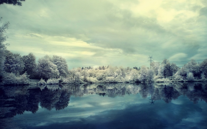 Lake with trees and power lines