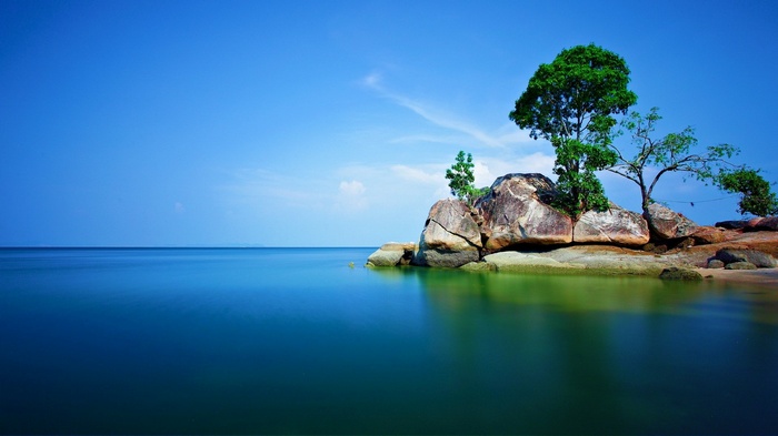 Rocks and trees on the sea shore