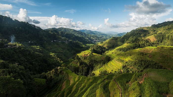 Terraced rice fields on a mountainside under a blue sky