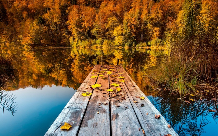 Wooden pier on a lake with autumn forest reflection
