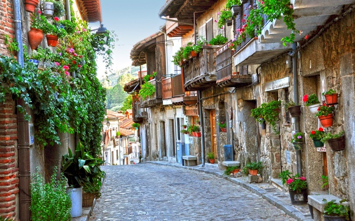 Cobblestone street lined with old buildings and flowers