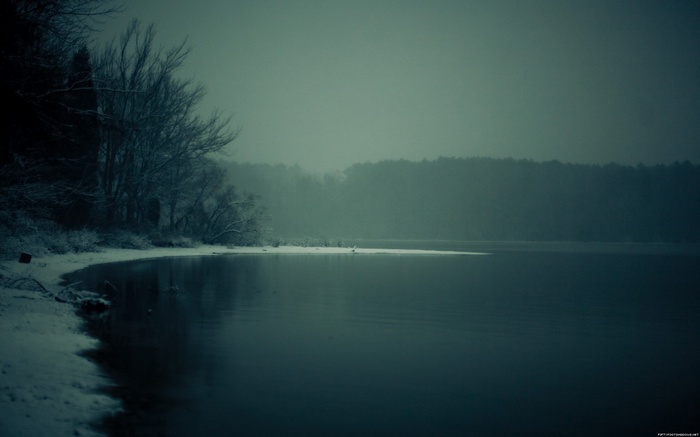 Snowy lake shore with bare trees and misty forest