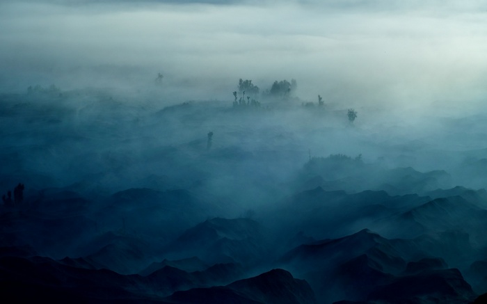 Misty blue mountains with silhouetted trees at dawn