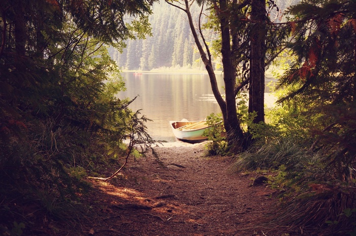 Boat on the shore of a forest lake