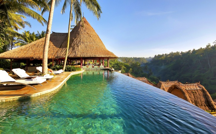 Infinity pool overlooking a tropical jungle at sunrise