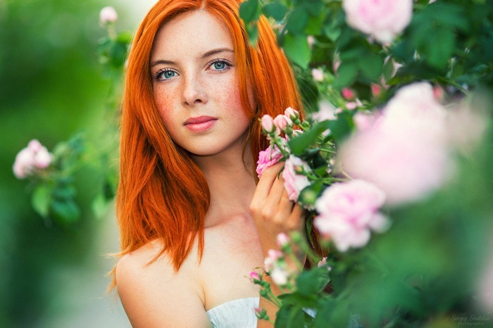 Redhead woman with freckles among pink roses