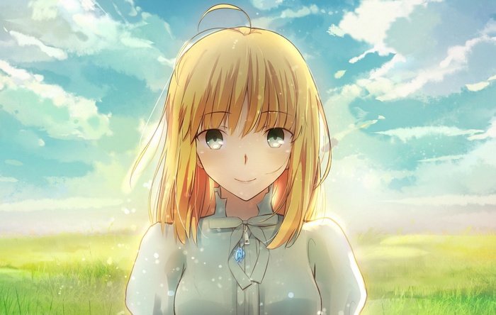 Saber from Fate Series in a field