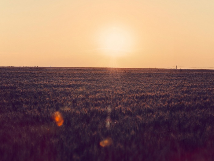 Sunset over a vast field with a lone figure