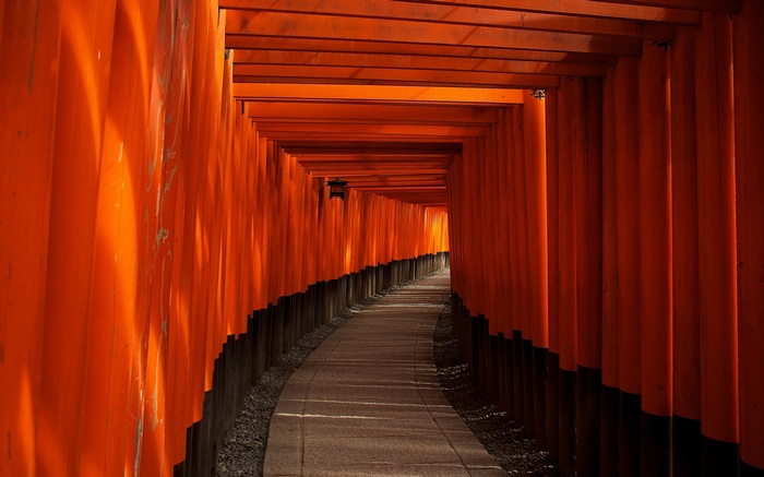 Orange Torii Gates Path in Kyoto, Japan