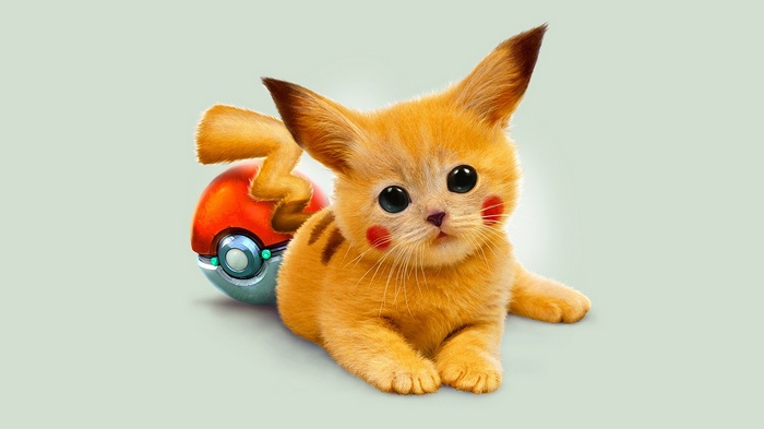 Pikachu kitten with a Pokeball