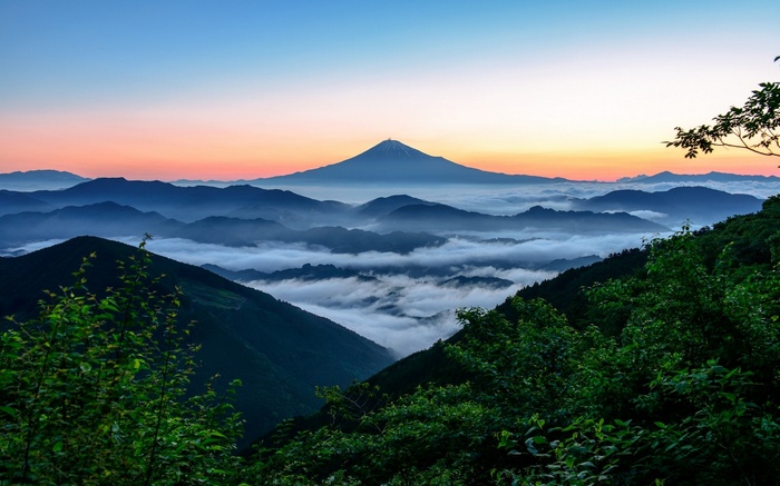 Mount Fuji above sea of clouds at sunrise