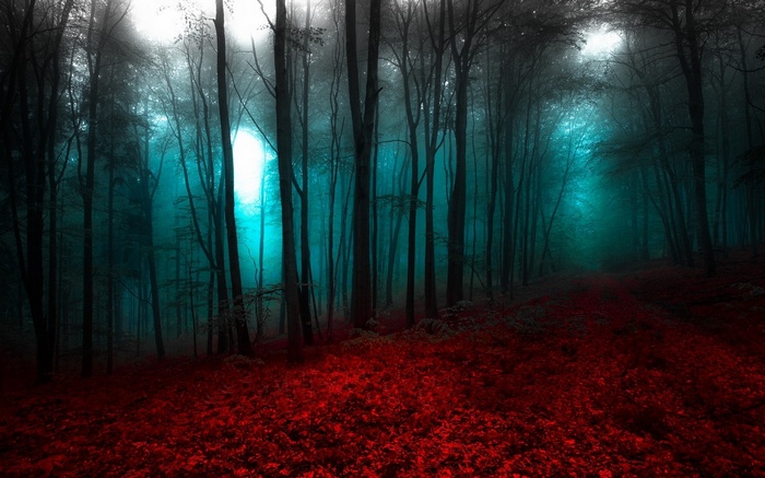 Misty forest with red leaves and blue light