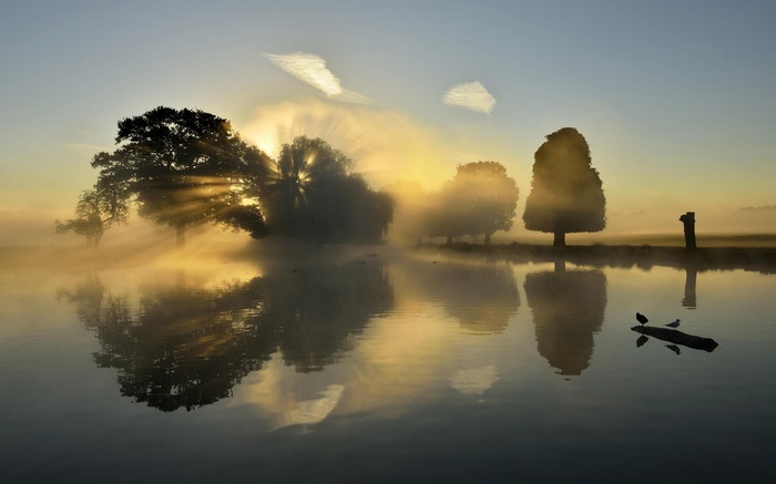 Misty lake at sunrise with sunbeams through trees