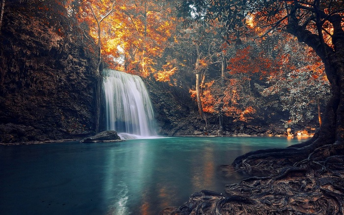 Waterfall in a colorful forest with exposed tree roots