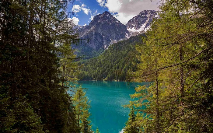 Turquoise lake surrounded by pine forest and Alps mountains