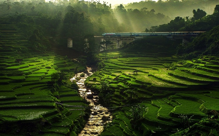 Train crossing a bridge over rice terraces and a river