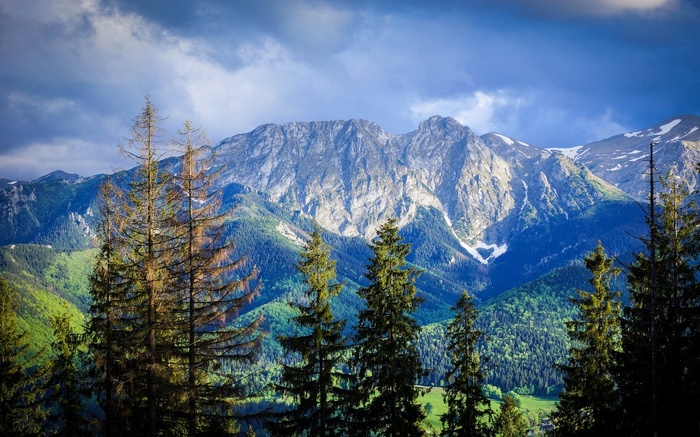 Mountains and forest in Poland under cloudy sky
