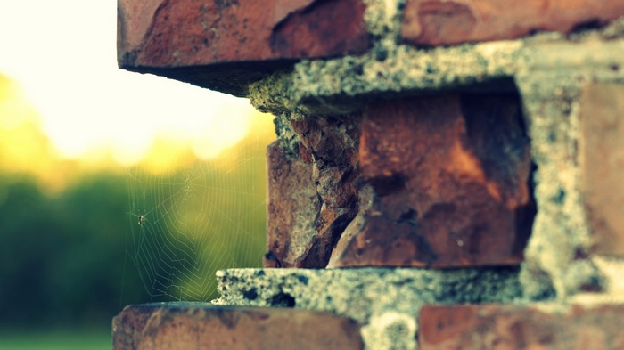 Spiderweb on a brick wall with bokeh background