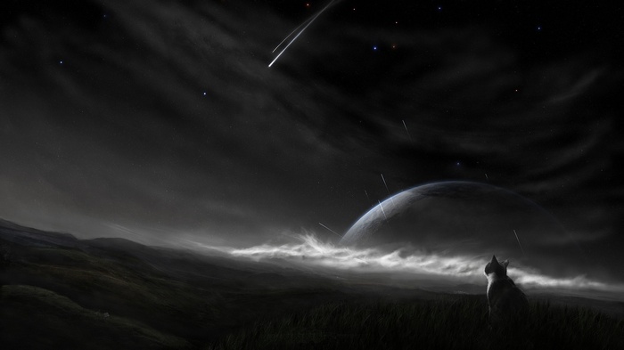 A cat watches shooting stars and a planet at night